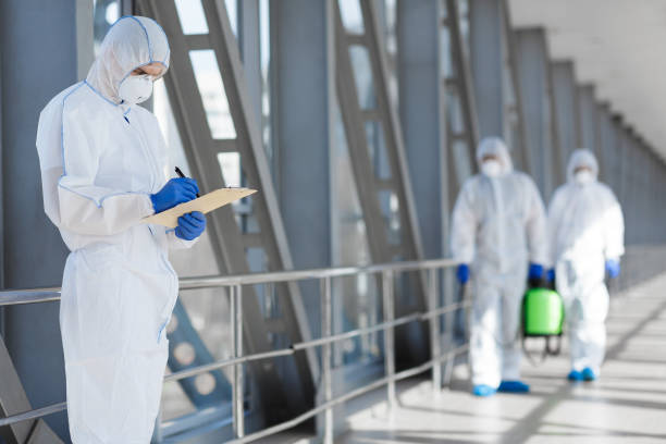 Best Attic Mold Removal  in San Marcos, CA