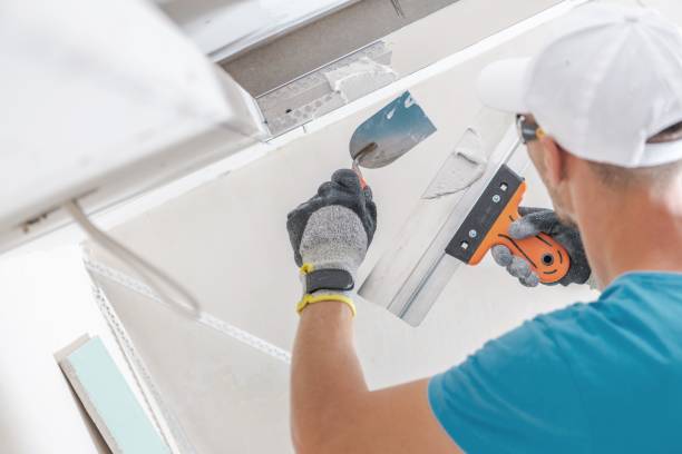 San Marcos, CA Mold Removal Company